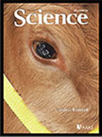 Science Cover 2009